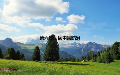第六步, 病虫害防治
