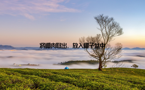 将椰肉取出, 放入椰子盆中