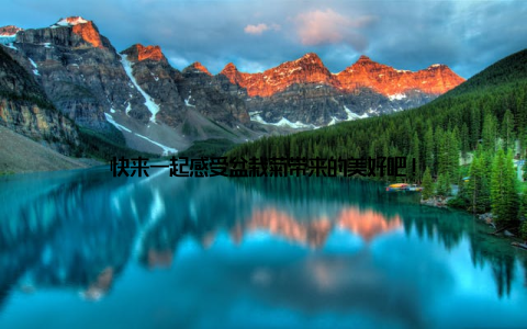 快来一起感受盆栽菊带来的美好吧!