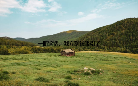一听这话, 我立刻被吸引了
