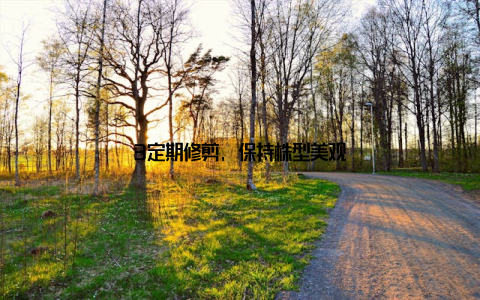 3定期修剪, 保持株型美观