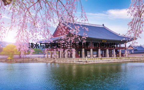 浇水与施肥紫玉兰喜湿润, 但怕水涝
