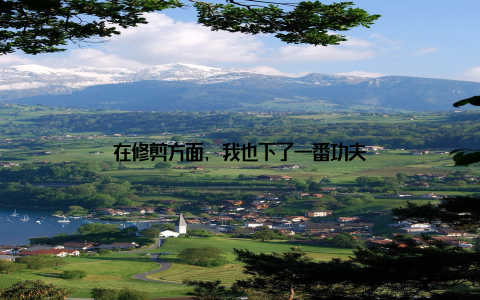 在修剪方面, 我也下了一番功夫