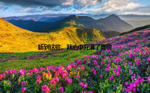 听到这些, 我心中充满了喜悦