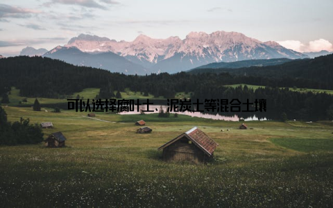 可以选择腐叶土、泥炭土等混合土壤