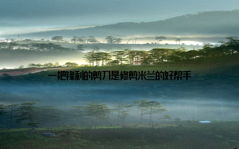一把锋利的剪刀是修剪米兰的好帮手