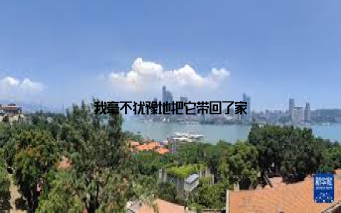 我毫不犹豫地把它带回了家