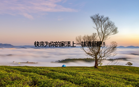 快来为你的家添上一抹清新吧!