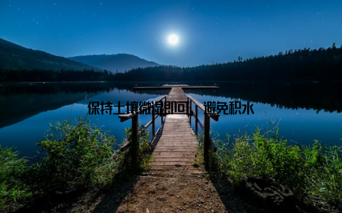 保持土壤微湿即可, 避免积水
