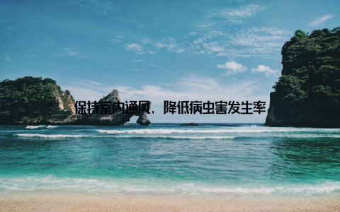 保持室内通风, 降低病虫害发生率