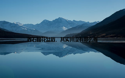 养石榴花盆栽, 其实并没有那么难