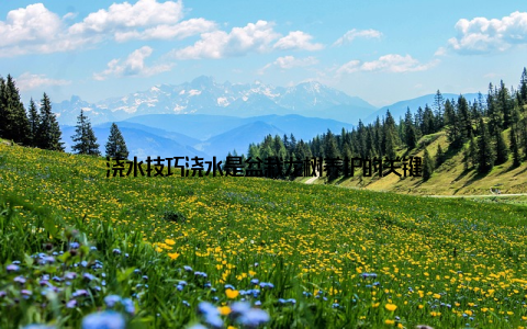 浇水技巧浇水是盆栽龙树养护的关键