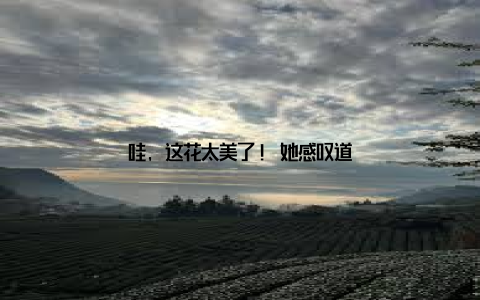 哇, 这花太美了! 她感叹道