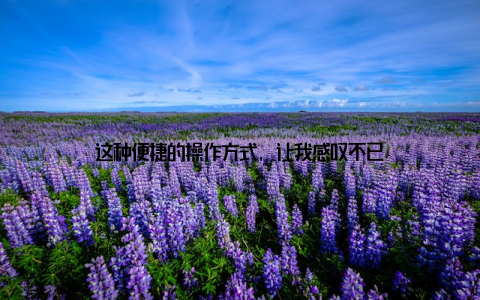 这种便捷的操作方式, 让我感叹不已