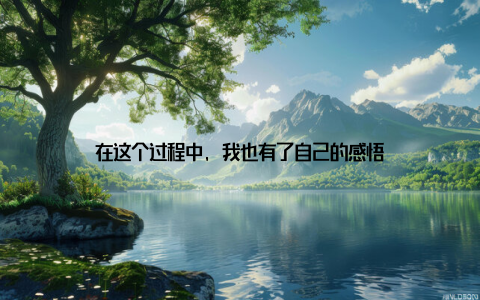 在这个过程中, 我也有了自己的感悟