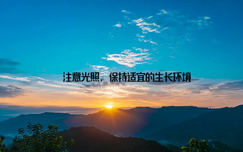 – 注意光照, 保持适宜的生长环境