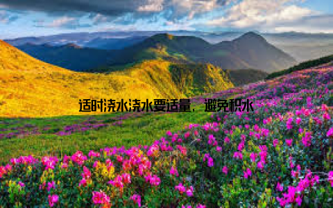 适时浇水浇水要适量, 避免积水