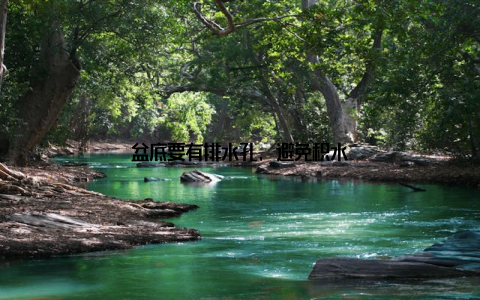 盆底要有排水孔, 避免积水