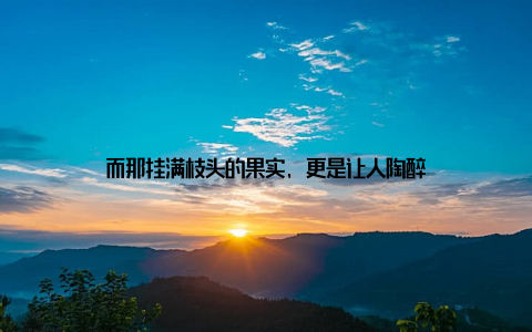 而那挂满枝头的果实, 更是让人陶醉