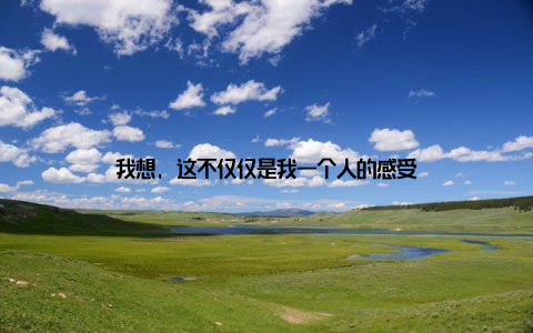 我想, 这不仅仅是我一个人的感受