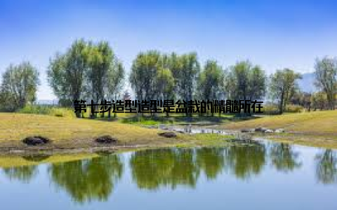 第七步造型造型是盆栽的精髓所在