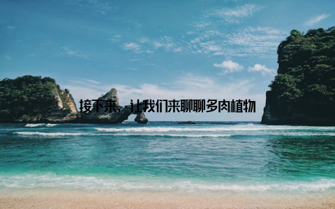 接下来, 让我们来聊聊多肉植物