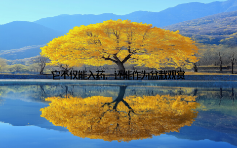 它不仅能入药, 还能作为盆栽观赏