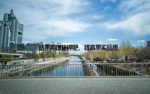 – 结果期增施钾肥, 提高果实品质