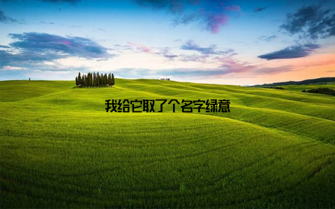 我给它取了个名字绿意