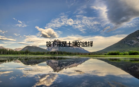 接下来是土壤的选择