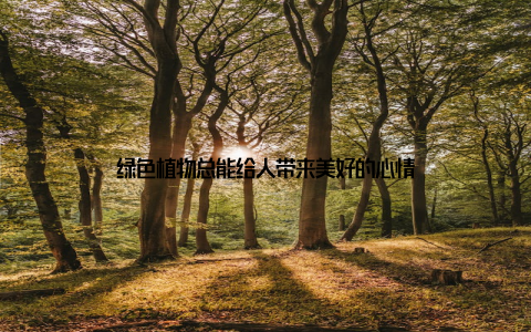 绿色植物总能给人带来美好的心情