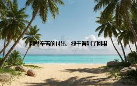 那些辛苦的付出, 终于得到了回报