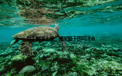 用手触摸土壤, 感觉略干即可浇水