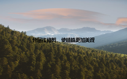 分层次修剪, 使植株更加美观