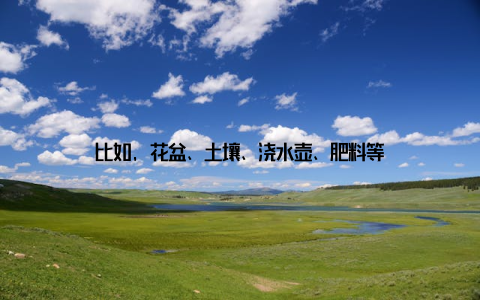 比如, 花盆、土壤、浇水壶、肥料等
