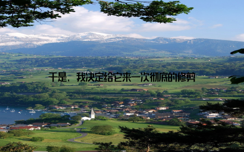 于是, 我决定给它来一次彻底的修剪