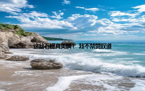 这盆石榴真美啊! 我不禁赞叹道