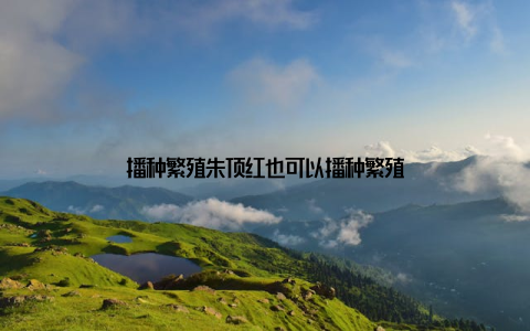 播种繁殖朱顶红也可以播种繁殖