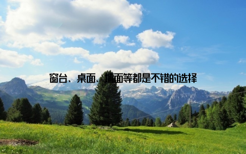 窗台、桌面、墙面等都是不错的选择