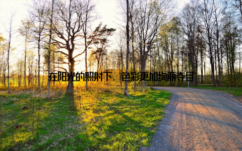 在阳光的照射下, 色彩更加绚丽夺目