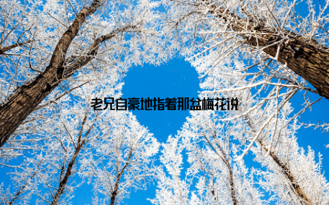 老兄自豪地指着那盆梅花说