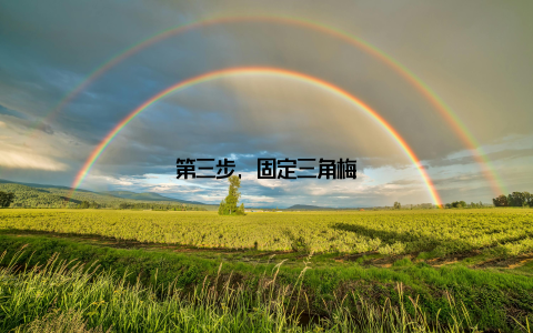 第三步, 固定三角梅