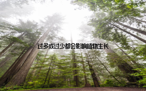 过多或过少都会影响植物生长