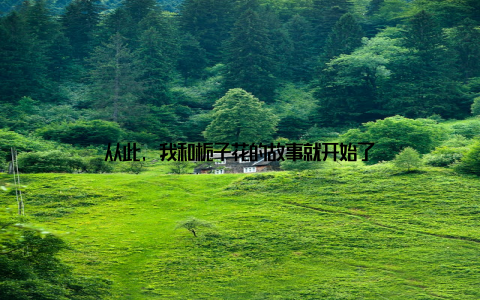 从此, 我和栀子花的故事就开始了