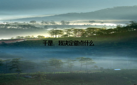 于是, 我决定做点什么