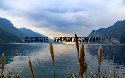 我欣喜若狂, 仿佛看到了希望的曙光