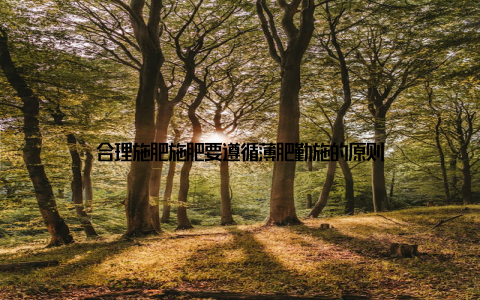 合理施肥施肥要遵循薄肥勤施的原则