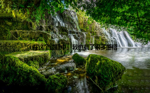在这个过程中, 我也有了很多感悟