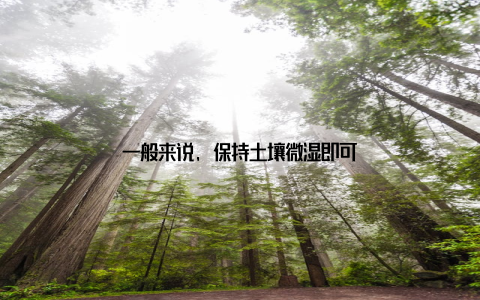 一般来说, 保持土壤微湿即可
