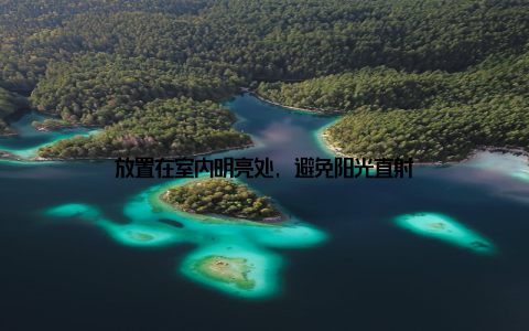 放置在室内明亮处, 避免阳光直射